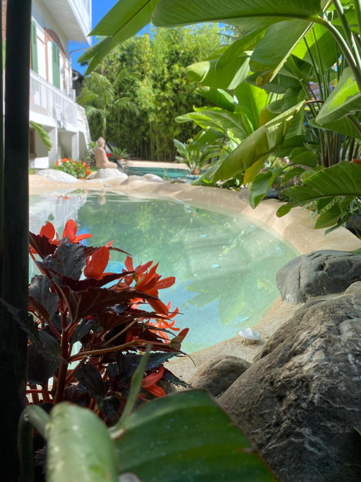 Appt Ambiance Boheme 2 Ch Piscine Lagon Apartamento Tarbes Exterior foto